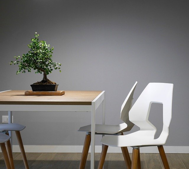 moderní bílé vyřezávané židle