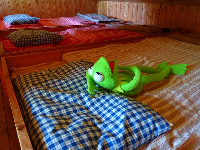plyšová žába na posteli.jpg